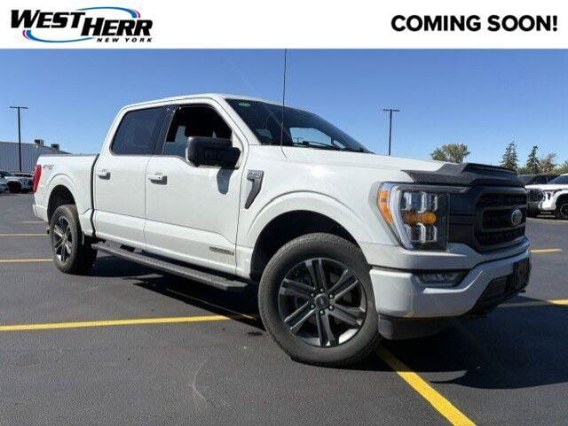 Used 2023 Ford F150 XLT w/ Equipment Group 302A High