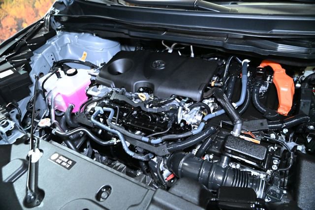 Used 2025 Toyota Sienna XLE Woodland Edition image 20