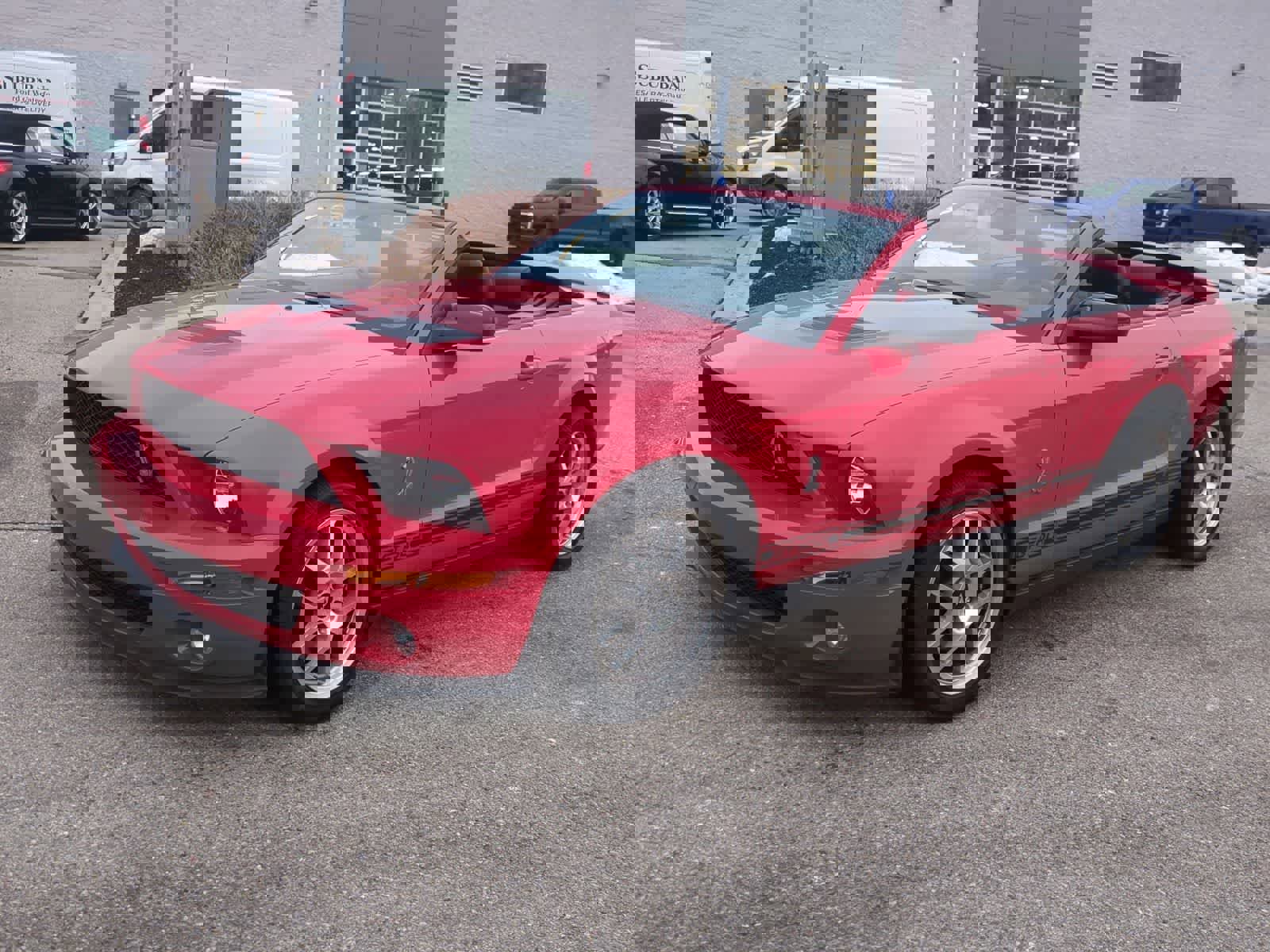 Used 2008 Ford Mustang Shelby GT500 image 4