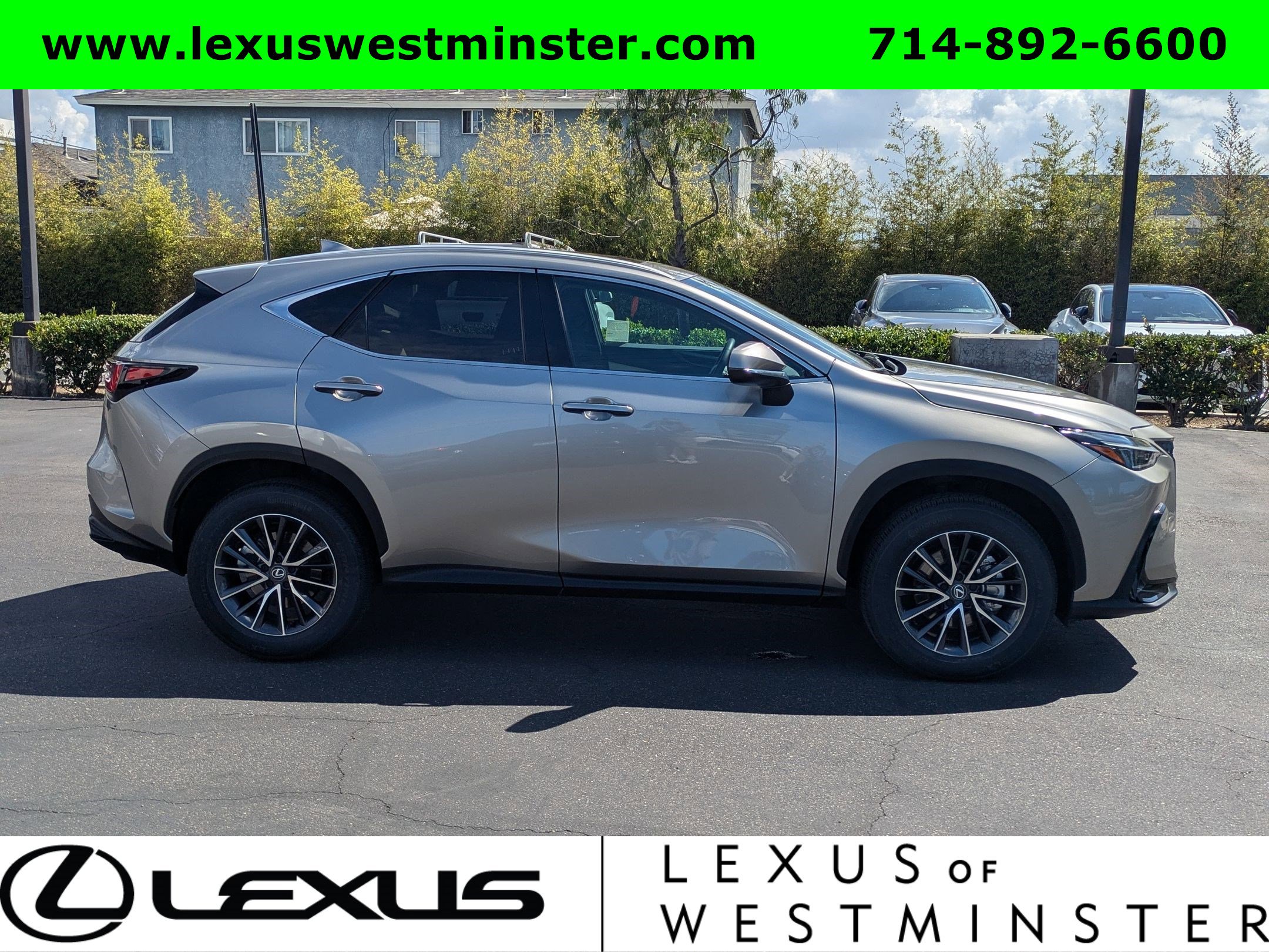 Certified 2024 Lexus NX 250 FWD image 4