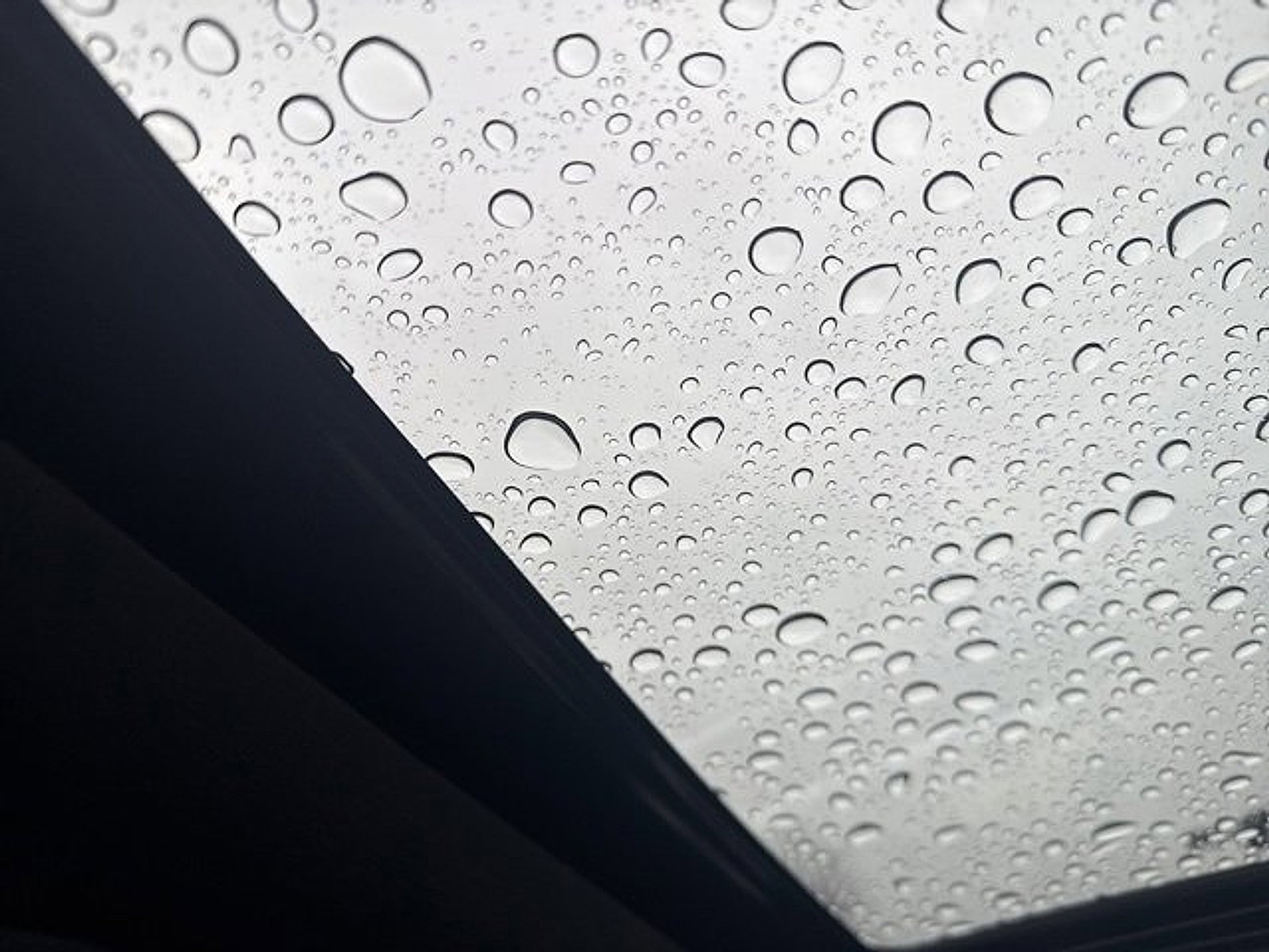 Certified 2024 Cadillac CT4 Luxury w/ Sun And Sound Package image 11