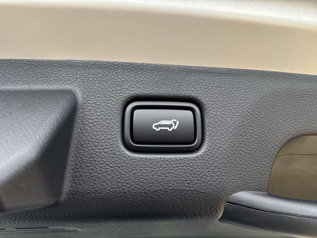 New 2026 Kia Seltos SX w/ SX Sunroof Package AWD/4WD image 34