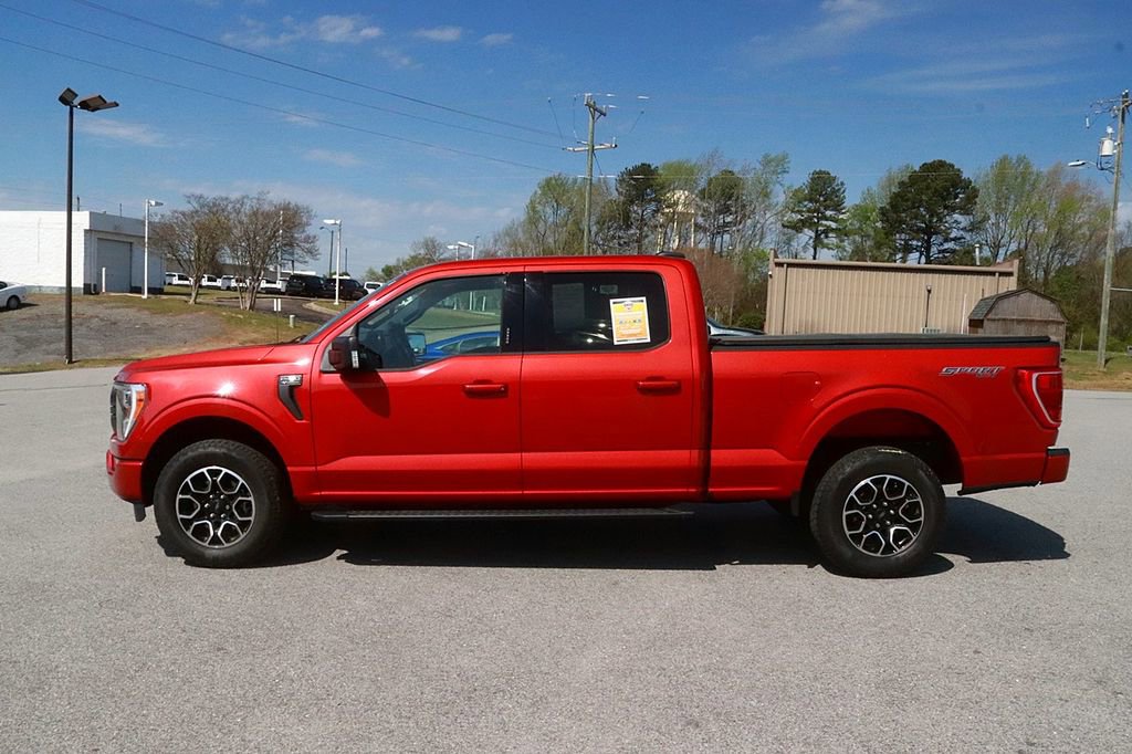 Used 2023 Ford F150 XLT w/ Equipment Group 302A High AWD/4WD image 4