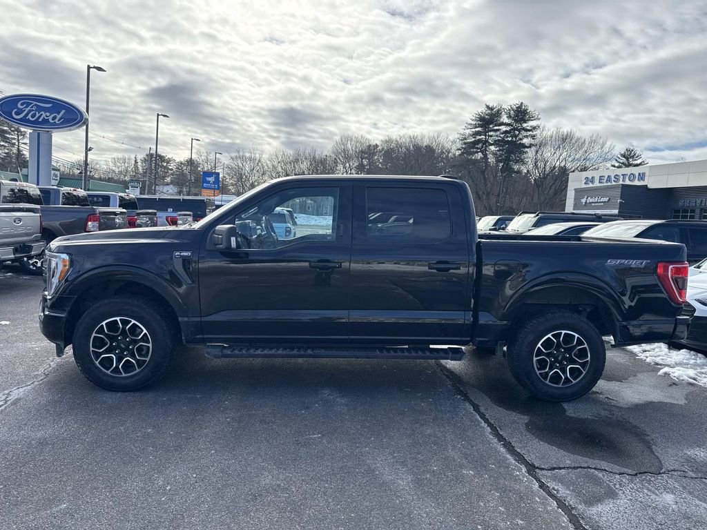 Used 2023 Ford F150 XLT w/ Equipment Group 302A High image 2
