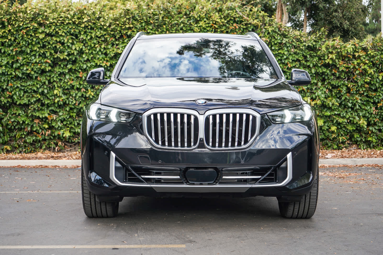 Used 2024 BMW X5 sDrive40i w/ Parking Assistance Package RWD image 2