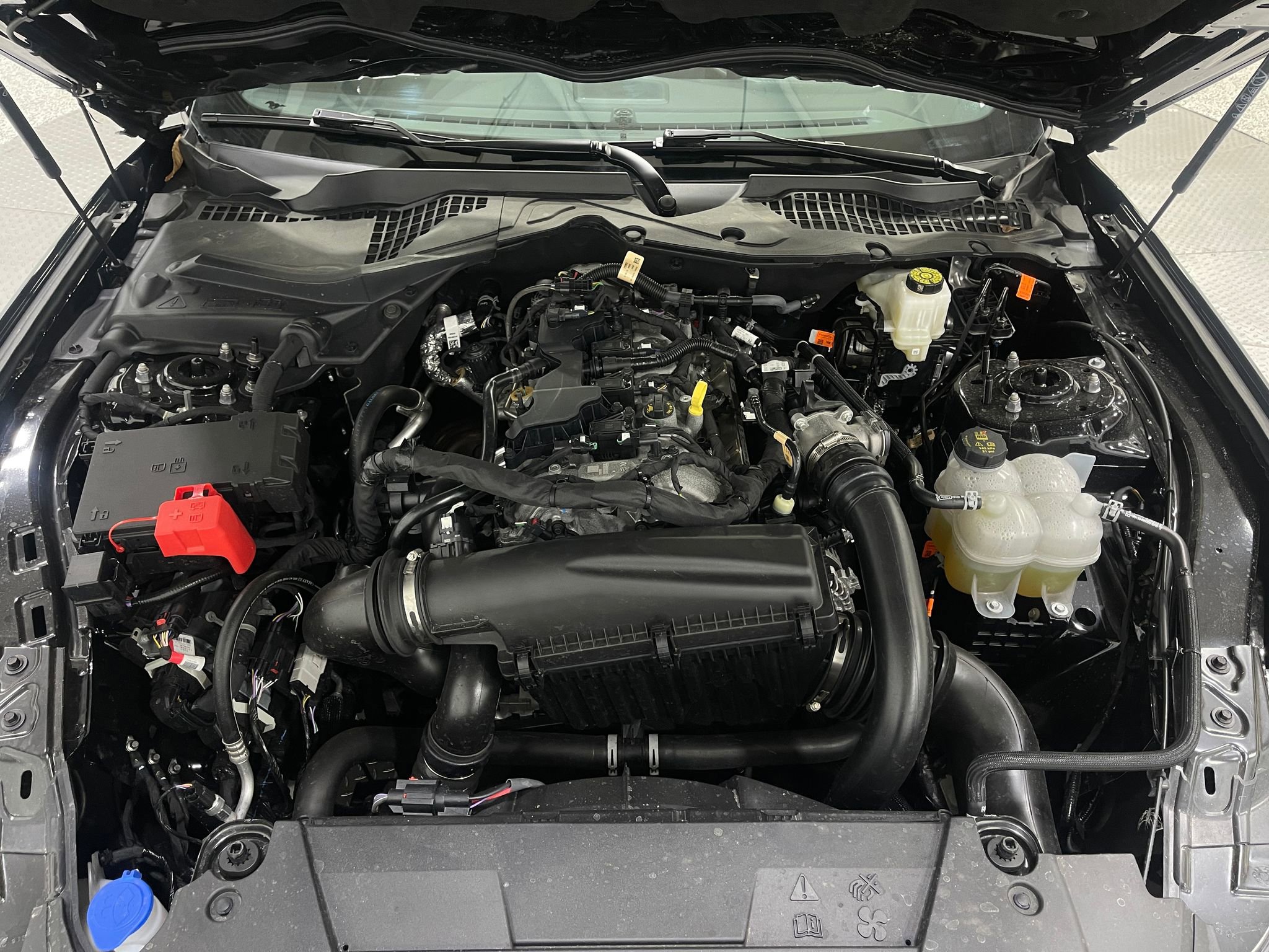 Used 2026 Ford Mustang Coupe image 25