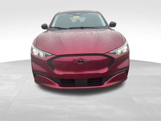 Used 2025 Ford Mustang Mach-E Select w/ Comfort Package Lite image 8