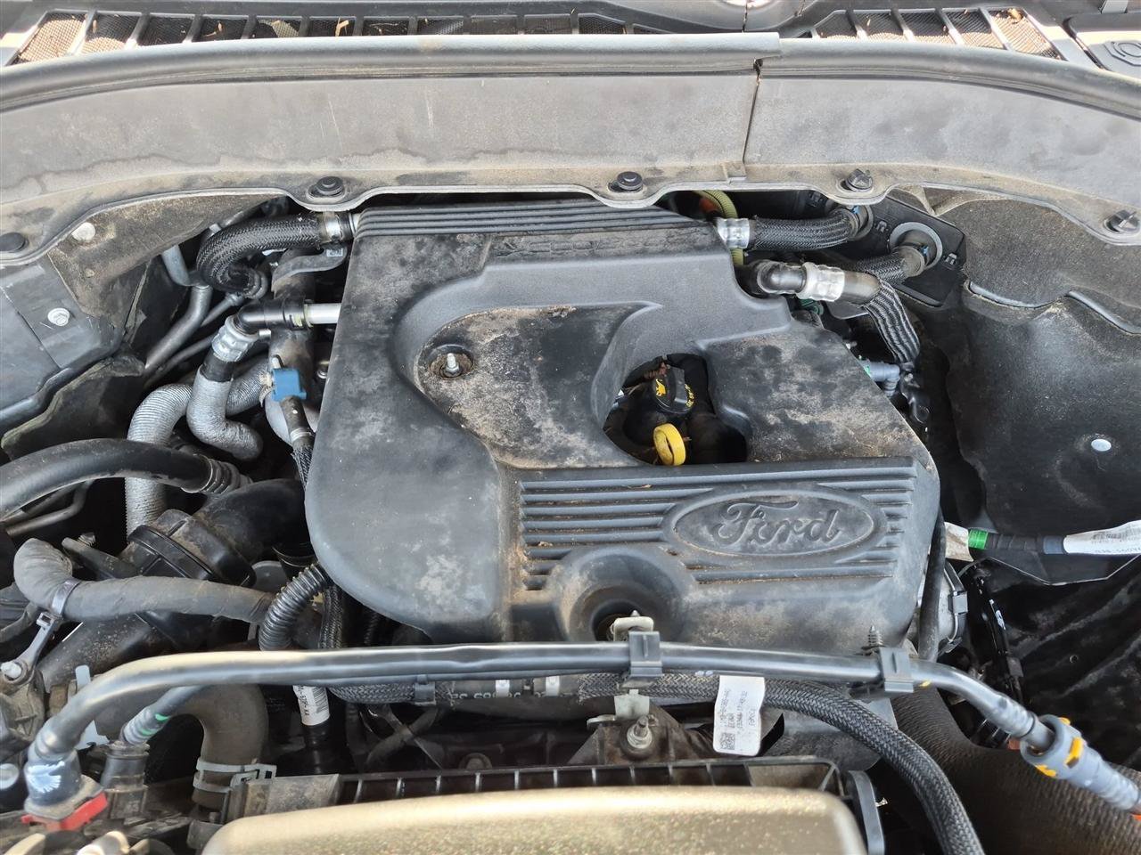 Used 2020 Ford Explorer XLT w/ Equipment Group 202A AWD/4WD image 37