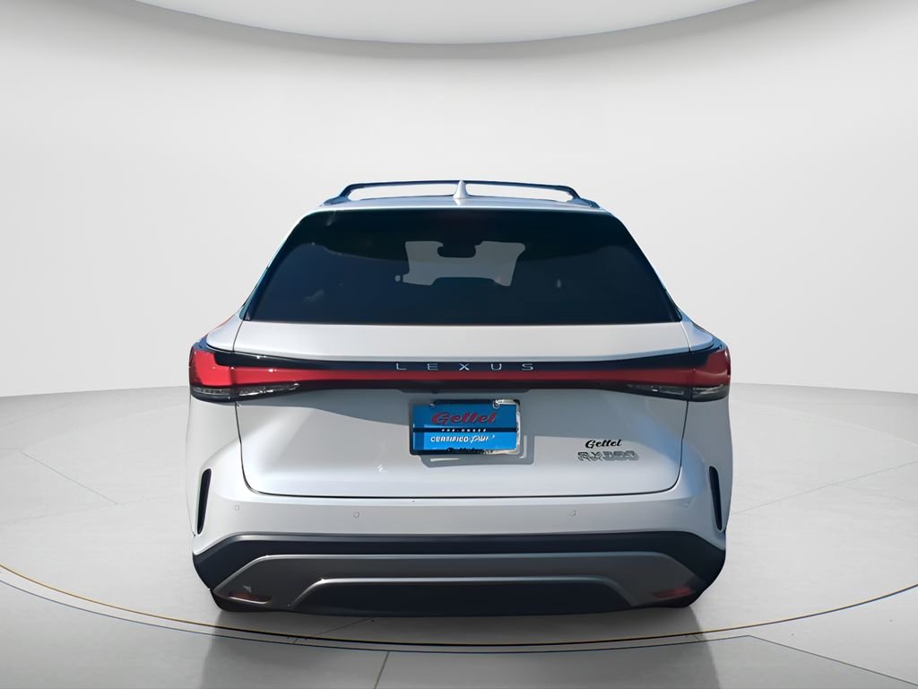 Used 2023 Lexus RX 350 Premium w/ Cold Area Package image 6