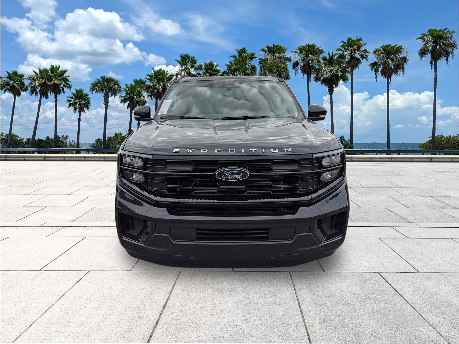 New 2025 Ford Expedition Active image 3