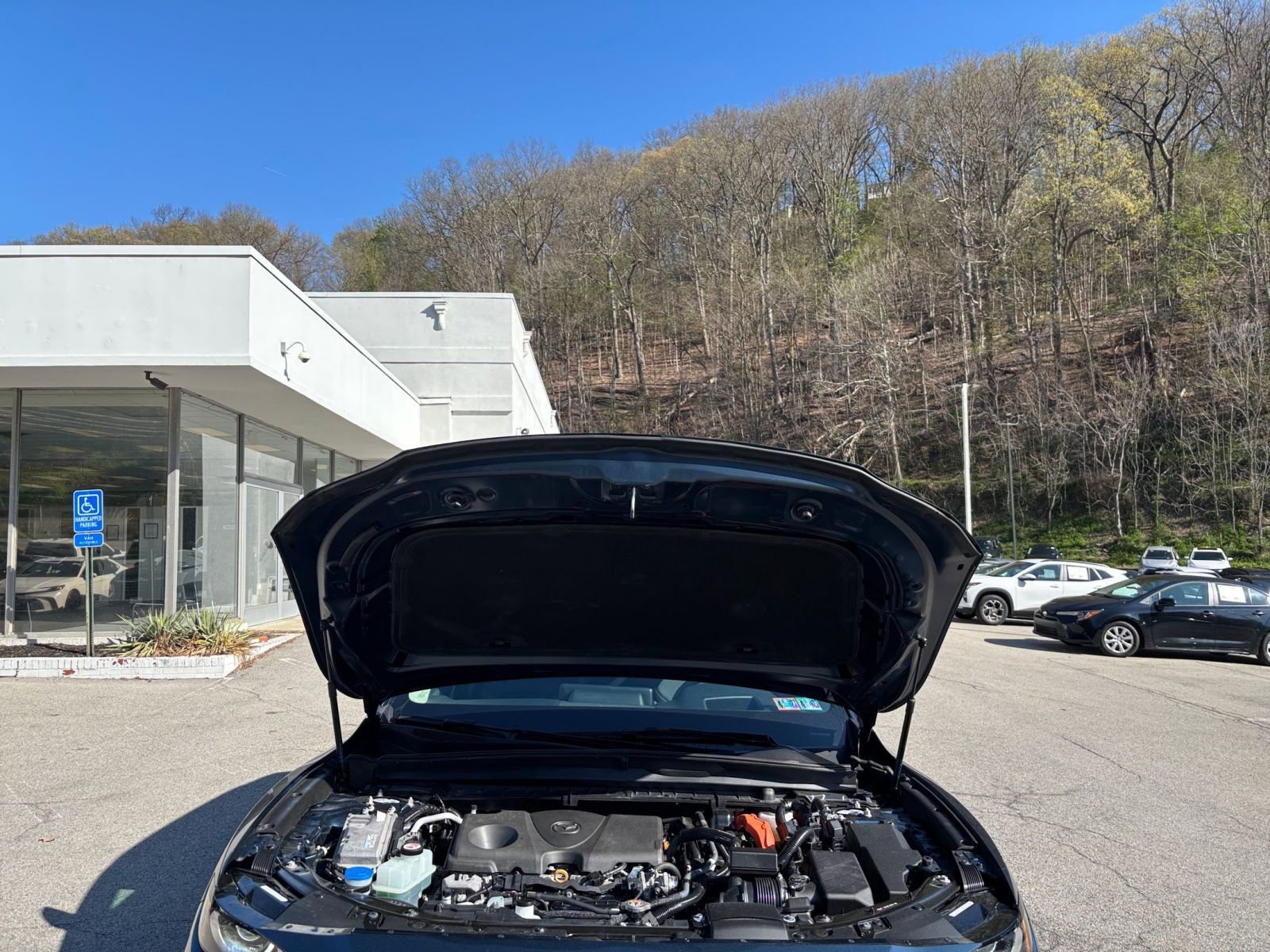 Used 2025 MAZDA CX-50 2.5 Hybrid w/ Premium Plus Pkg AWD/4WD image 34