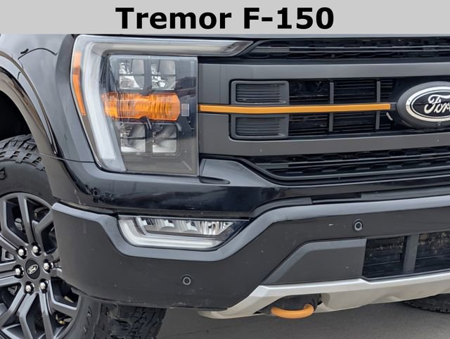 Used 2022 Ford F150 Tremor w/ Equipment Group 401A Mid image 3