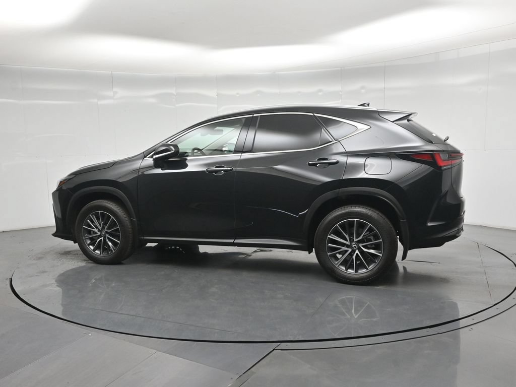 Used 2025 Lexus NX 350h AWD w/ Cold Area Package image 6