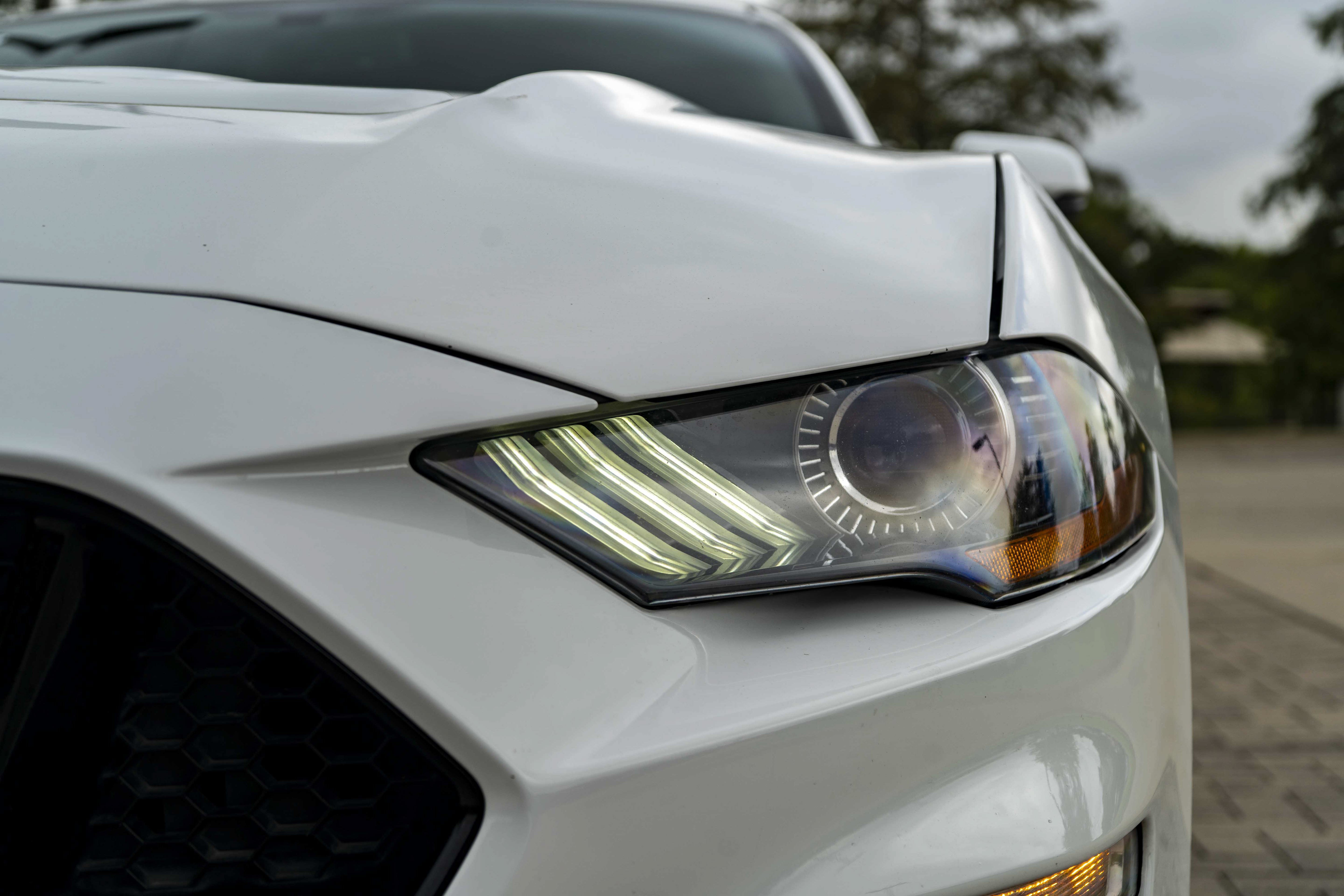 Used 2019 Ford Mustang GT Premium RWD image 11