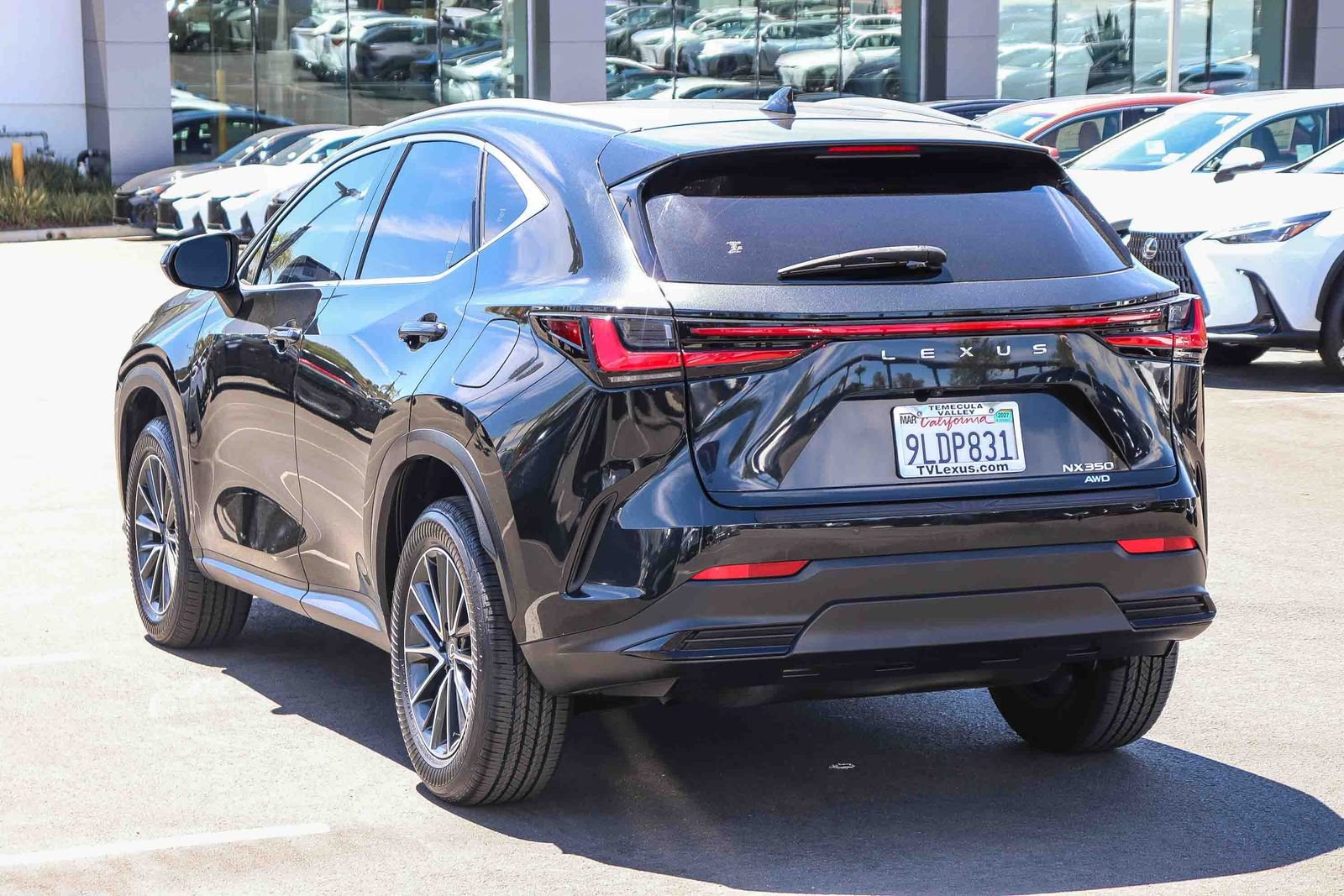 Certified 2024 Lexus NX 350 AWD w/ Cold Area Package image 4