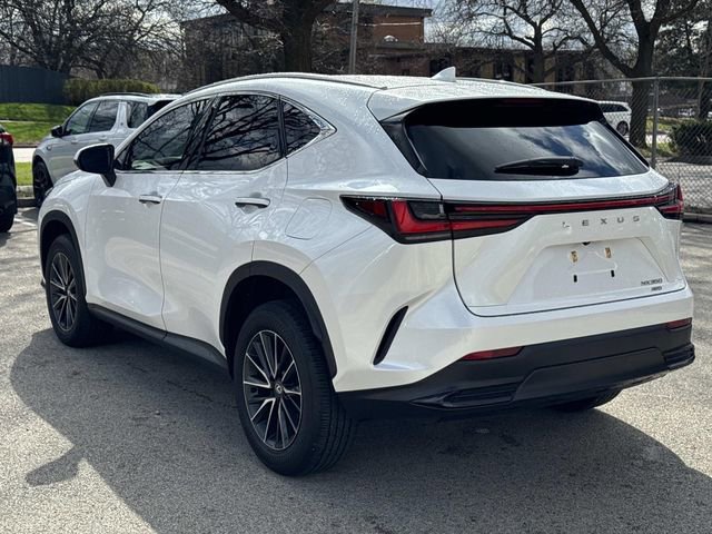 Certified 2024 Lexus NX 350 AWD w/ Cold Area Package image 7
