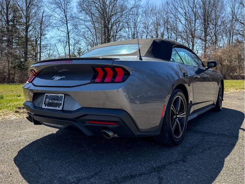 Used 2024 Ford Mustang Premium RWD image 5