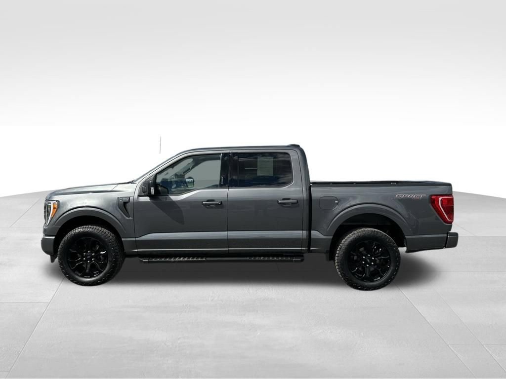 Used 2023 Ford F150 XLT w/ Equipment Group 302A High AWD/4WD image 12