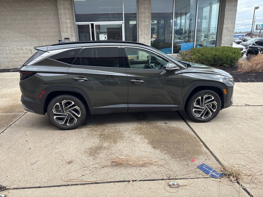 Used 2025 Hyundai Tucson Limited image 7