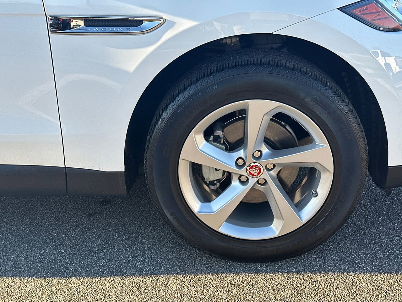 Used 2019 Jaguar F-PACE Premium image 12