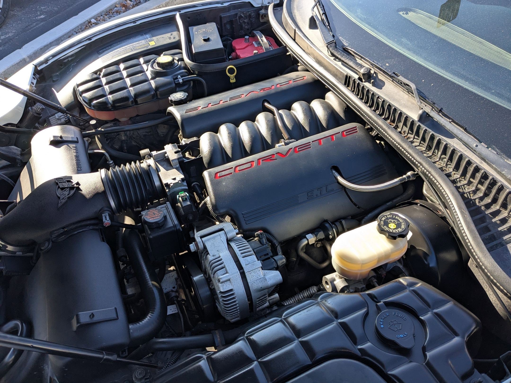 Used 1999 Chevrolet Corvette Coupe w/ Roof Pkg image 29