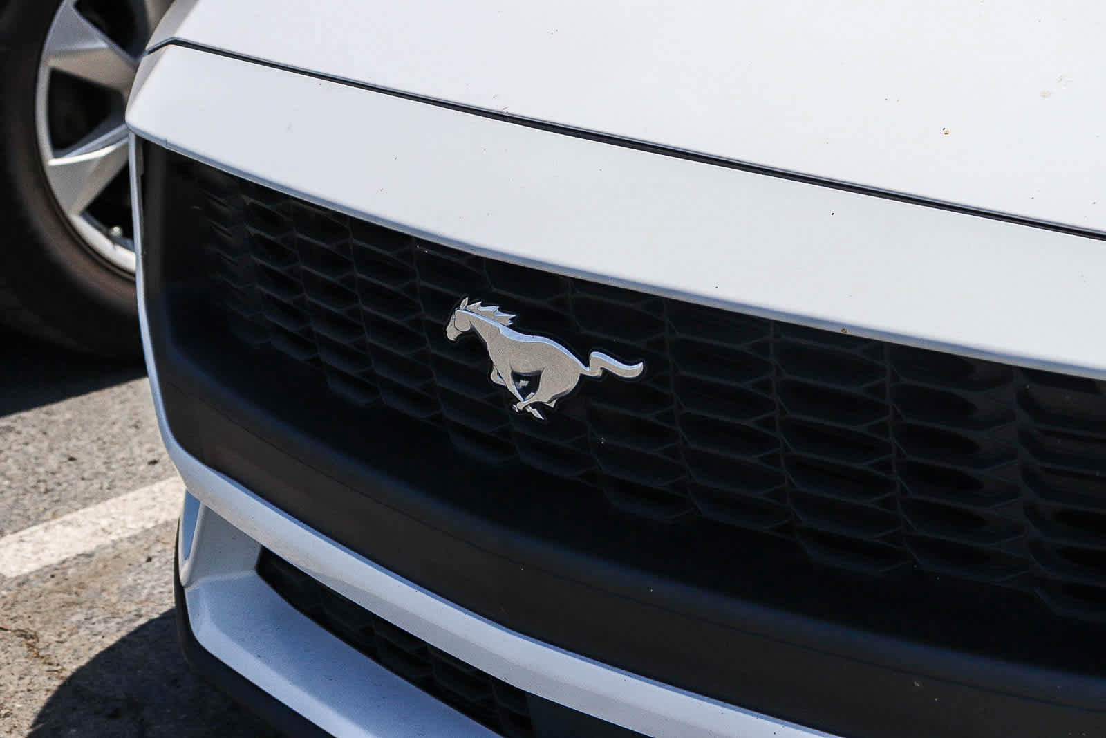 Used 2024 Ford Mustang Premium RWD image 3
