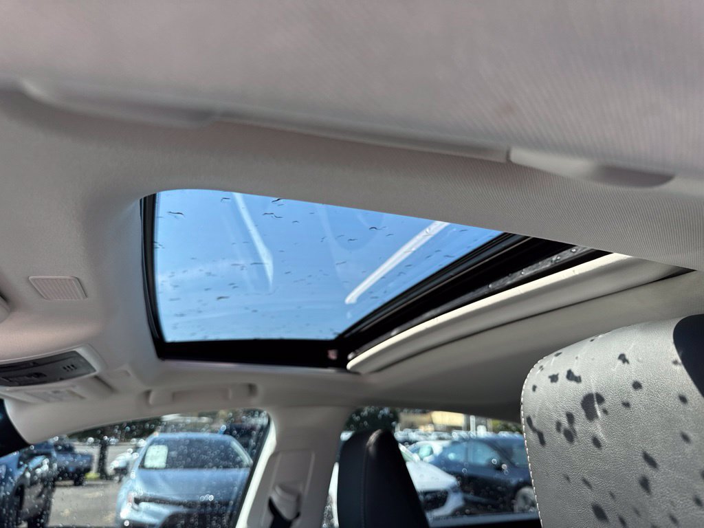 Used 2023 Lexus ES 250 w/ Accessory Package (Z2) AWD/4WD image 5