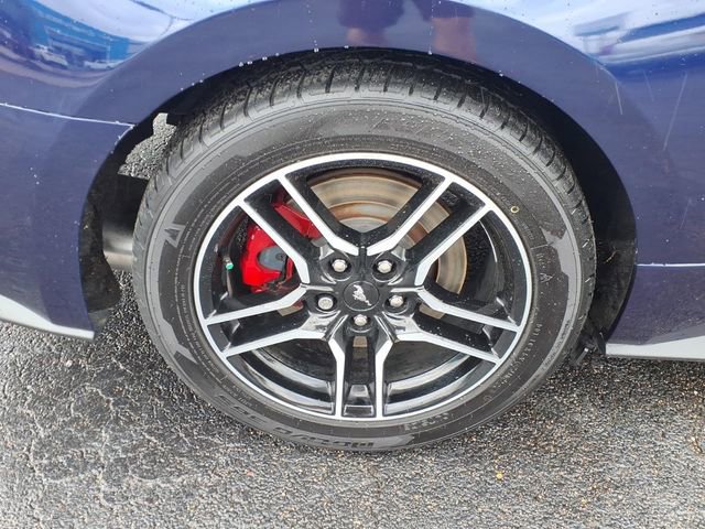 Used 2019 Ford Mustang GT RWD image 12