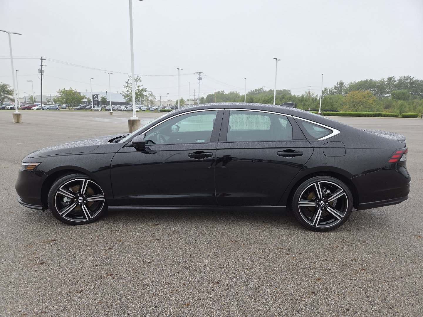 Used 2024 Honda Accord Sport image 13