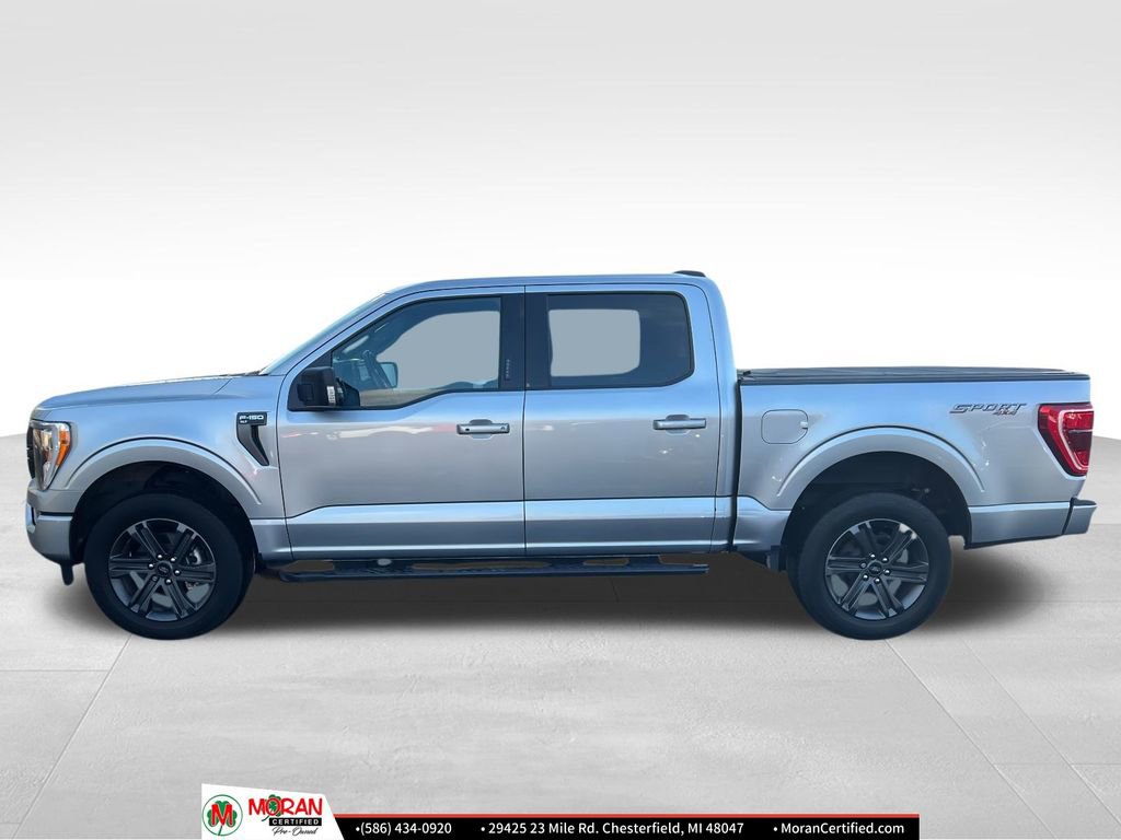 Used 2023 Ford F150 XLT w/ Equipment Group 302A High image 2