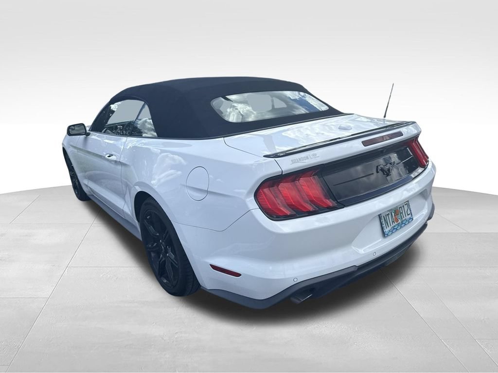 Used 2019 Ford Mustang Premium w/ Black Accent Package RWD image 12