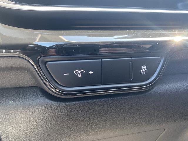 New 2026 Kia Carnival SX Prestige image 29