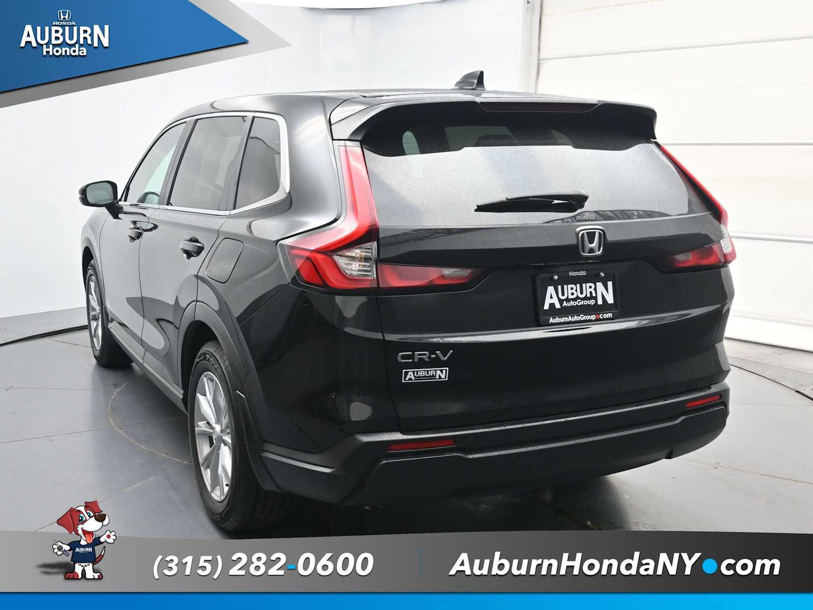 Used 2024 Honda CR-V EX image 15