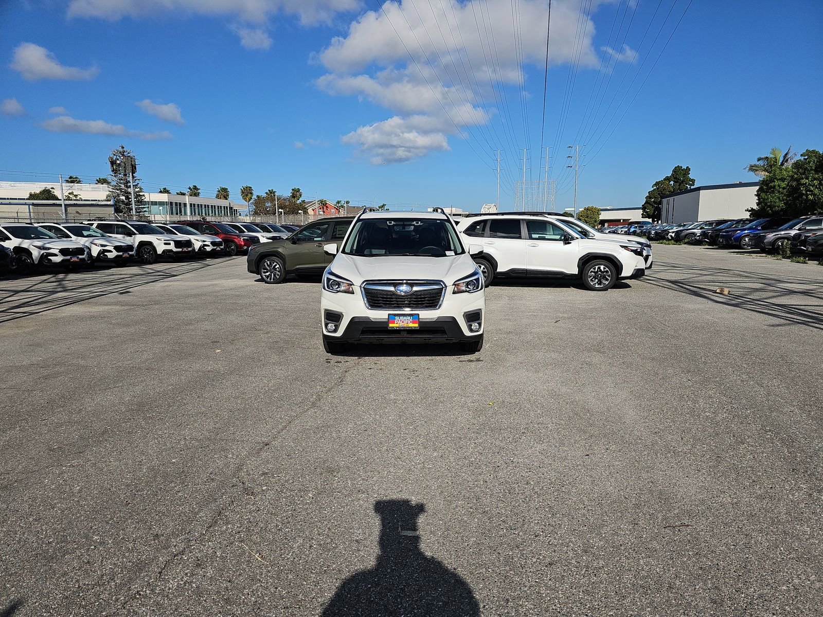 Used 2019 Subaru Forester Limited w/ Popular Package #3 image 2