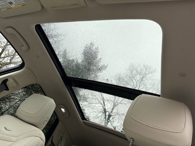 Used 2023 Cadillac XT5 Premium Luxury image 23