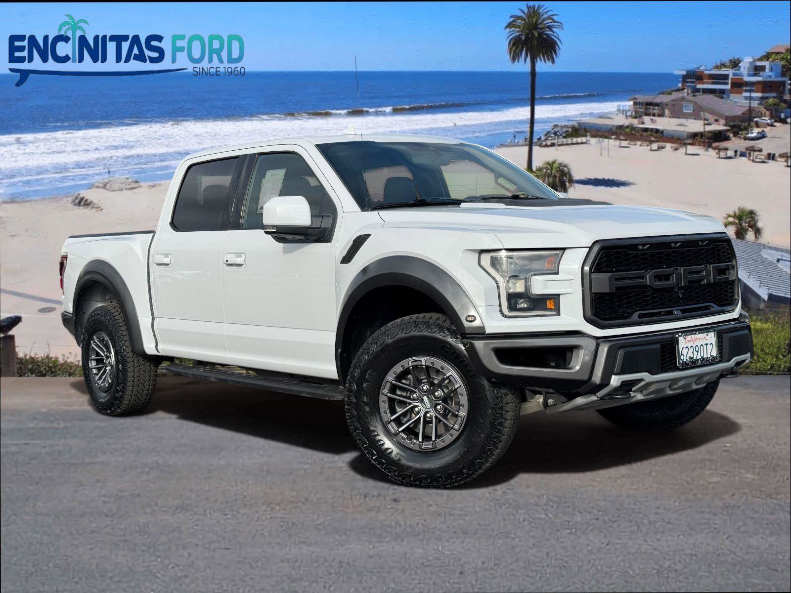 Used 2019 Ford F150 Raptor w/ Equipment Group 802A Luxury AWD/4WD image 1