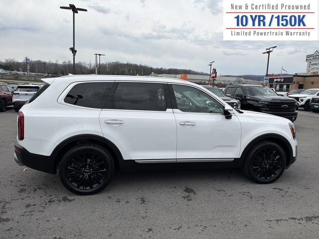 Used 2022 Kia Telluride SX w/ SX Prestige Package image 5