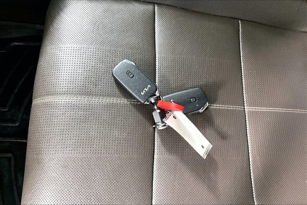 Used 2022 Kia Telluride SX image 10