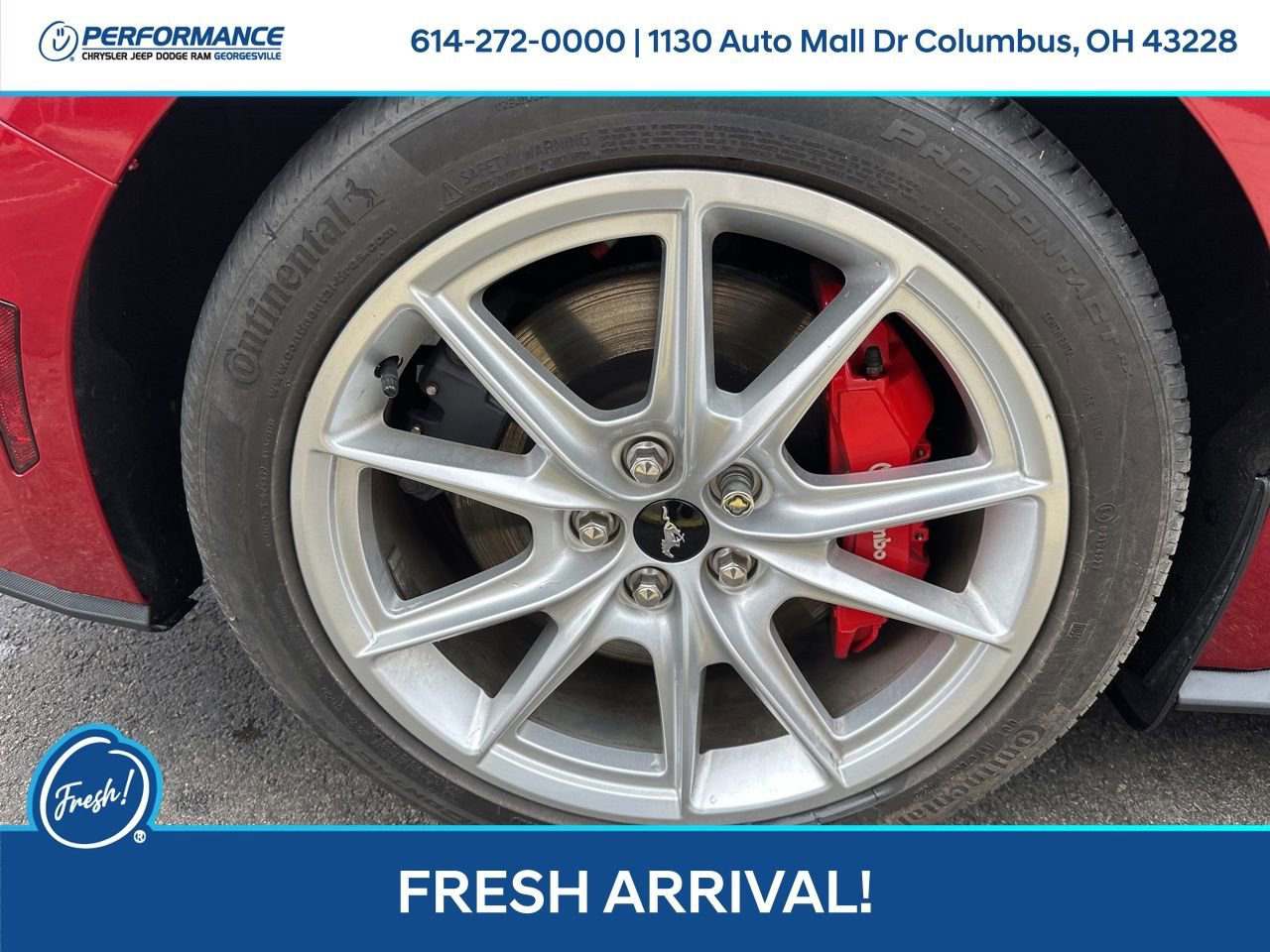 Used 2024 Ford Mustang GT Premium image 12