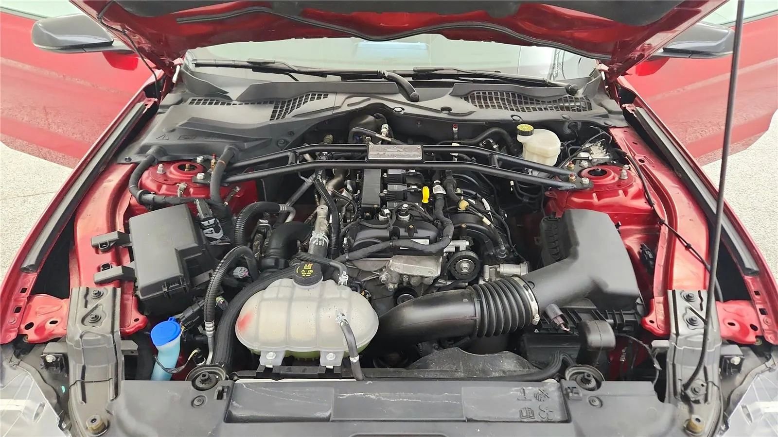 Used 2023 Ford Mustang Premium RWD image 20