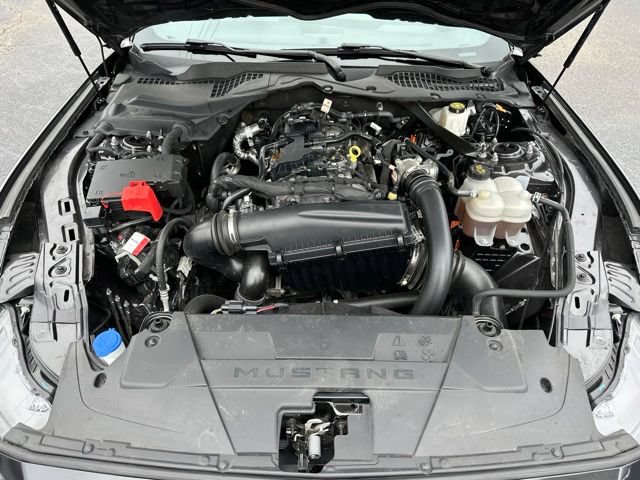 Used 2024 Ford Mustang Premium RWD image 27