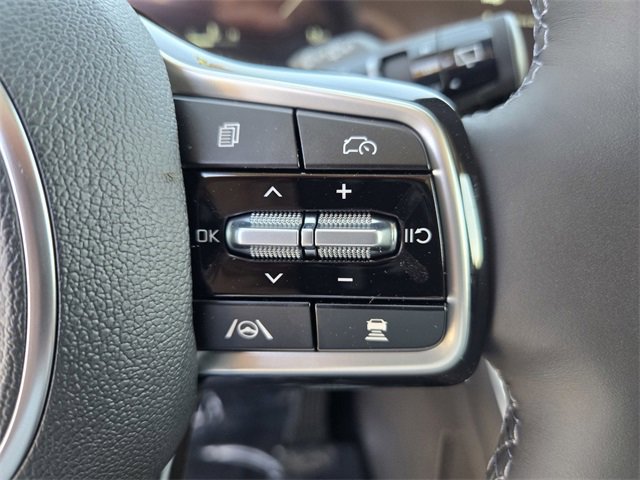 New 2026 Kia Carnival SX Prestige image 12