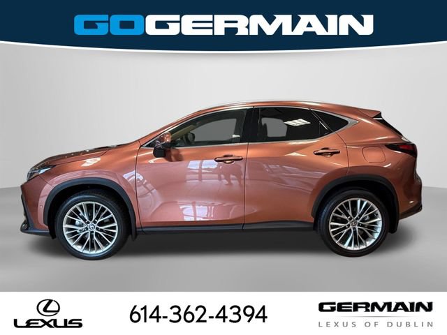New 2026 Lexus NX 350 AWD w/ Accessory Package (2T) image 3