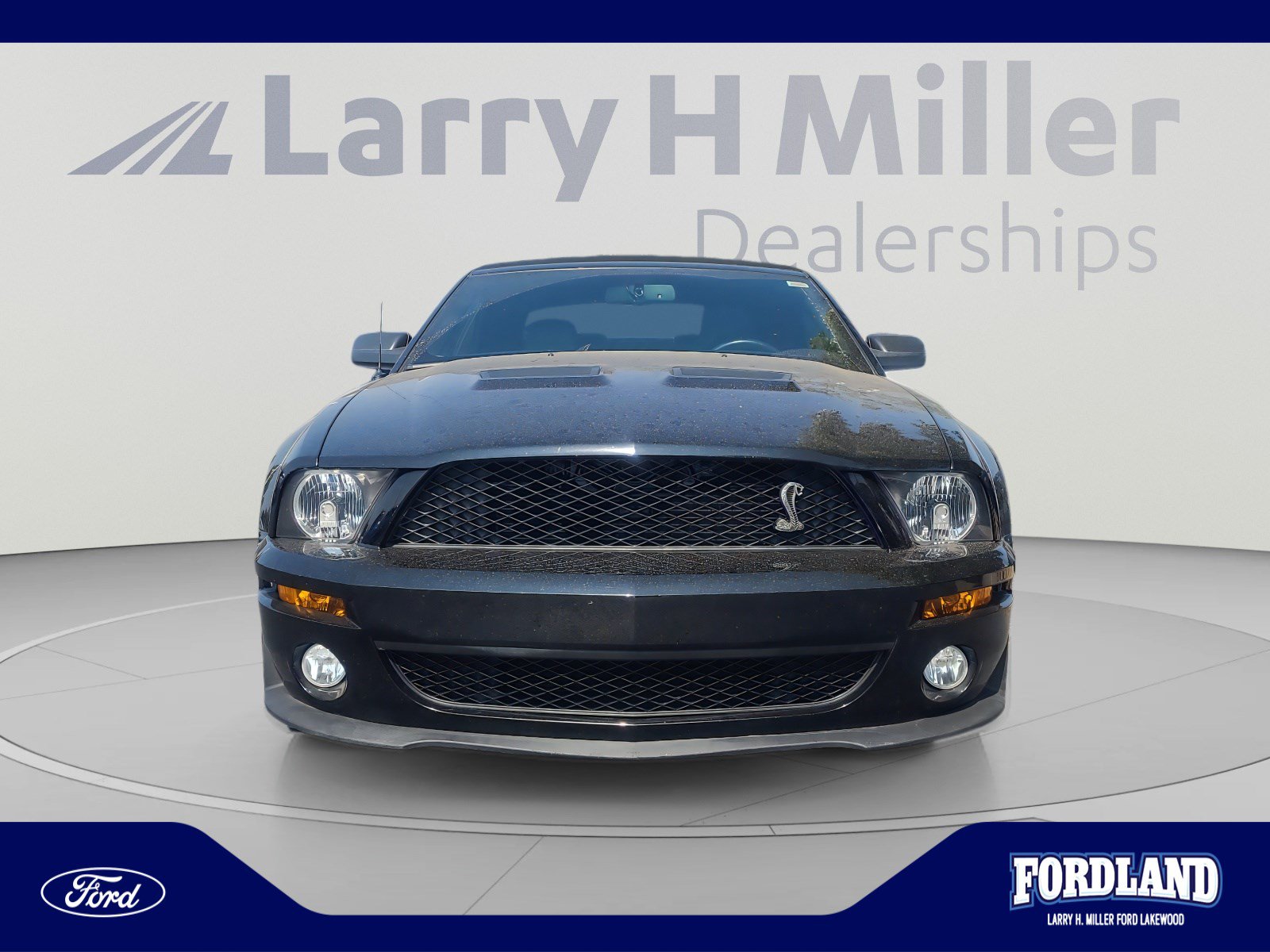 Used 2008 Ford Mustang Shelby GT500 RWD image 8