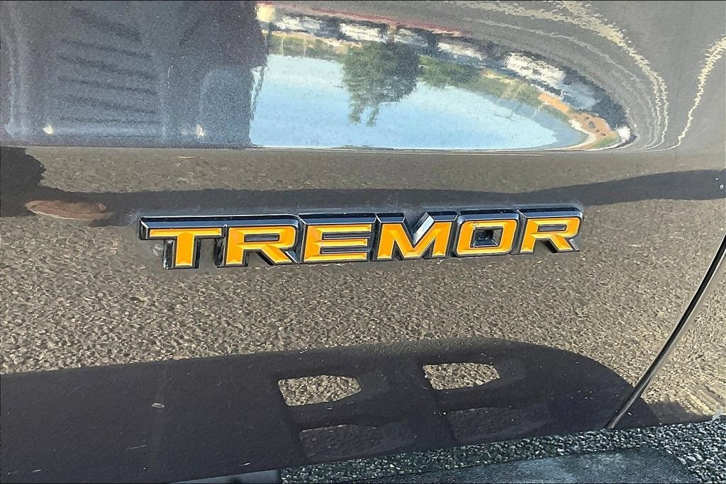 Used 2025 Ford Expedition Tremor AWD/4WD image 24