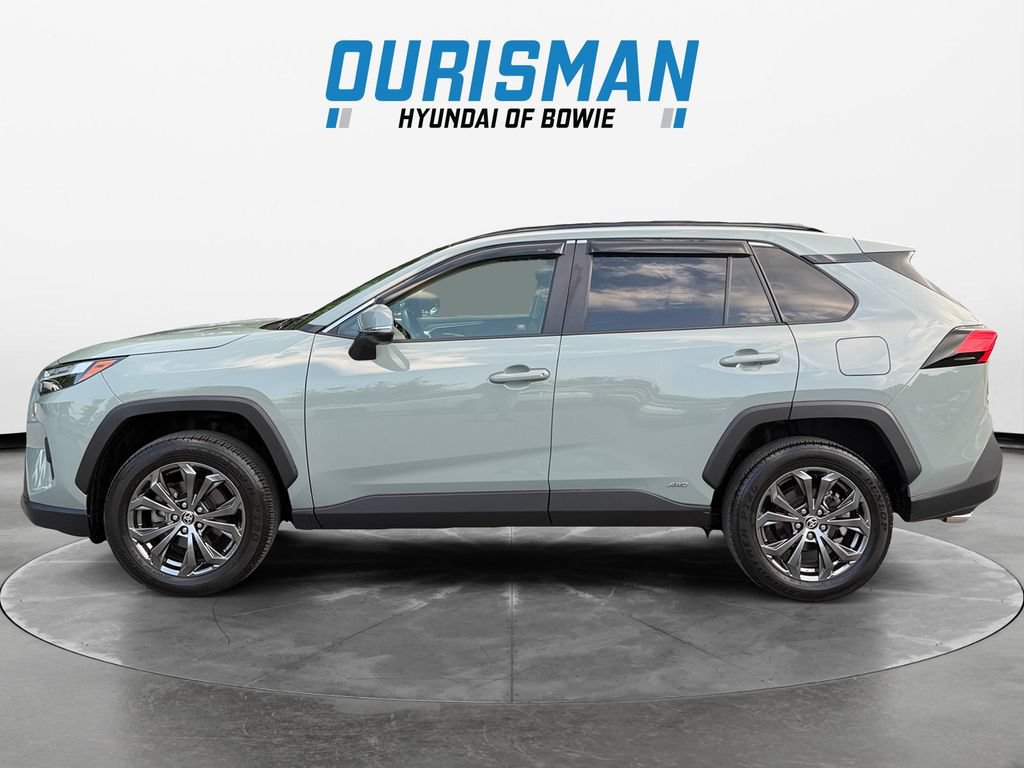 Used 2023 Toyota RAV4 XLE Premium AWD/4WD image 3