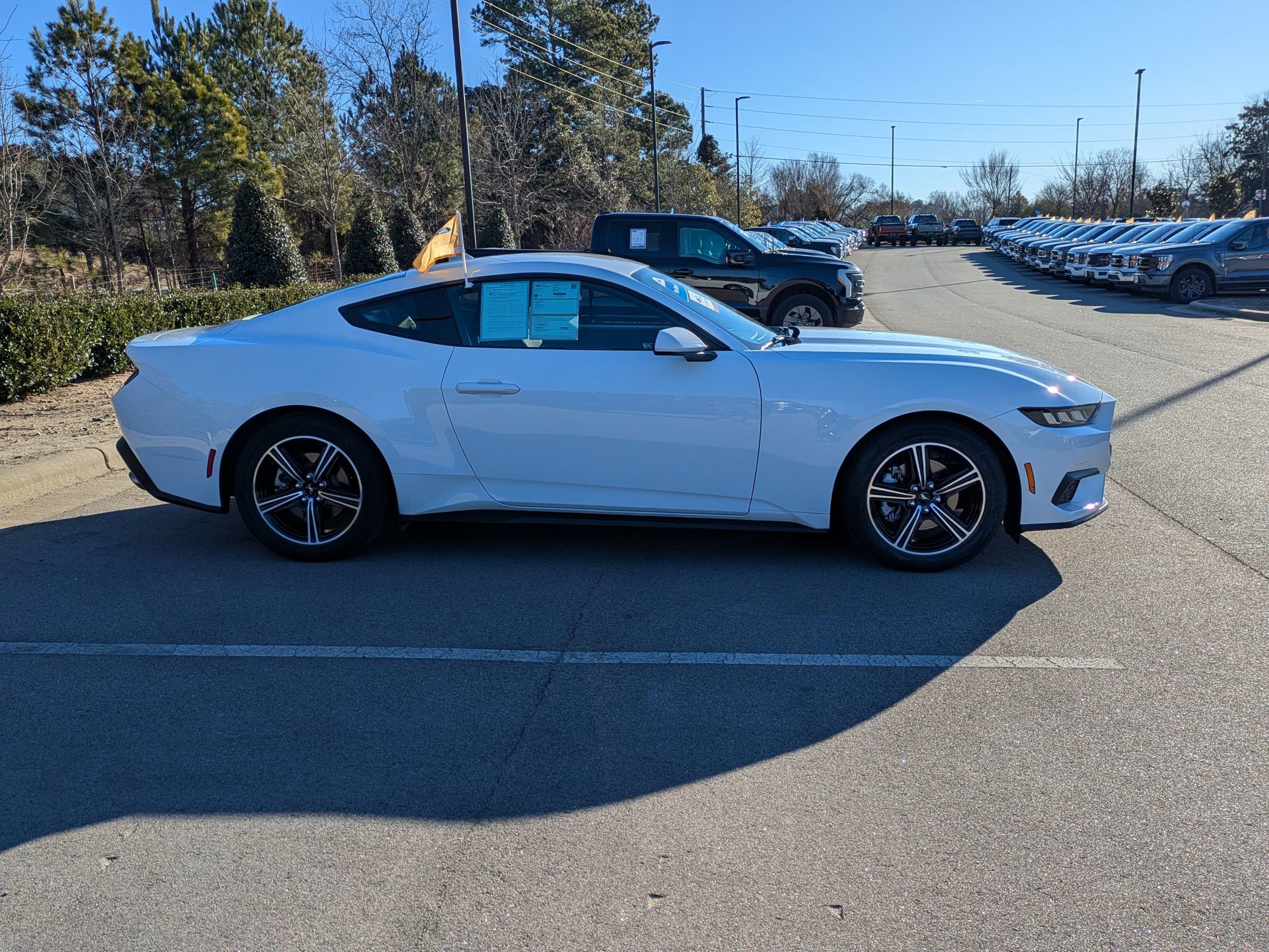 Certified 2025 Ford Mustang Coupe image 3