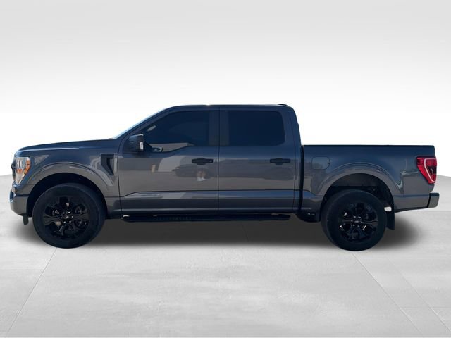Used 2022 Ford F150 XL w/ STX Black Appearance Package AWD/4WD image 9