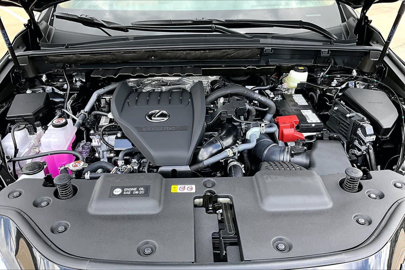New 2026 Lexus NX 350 AWD w/ Cold Area Package image 16