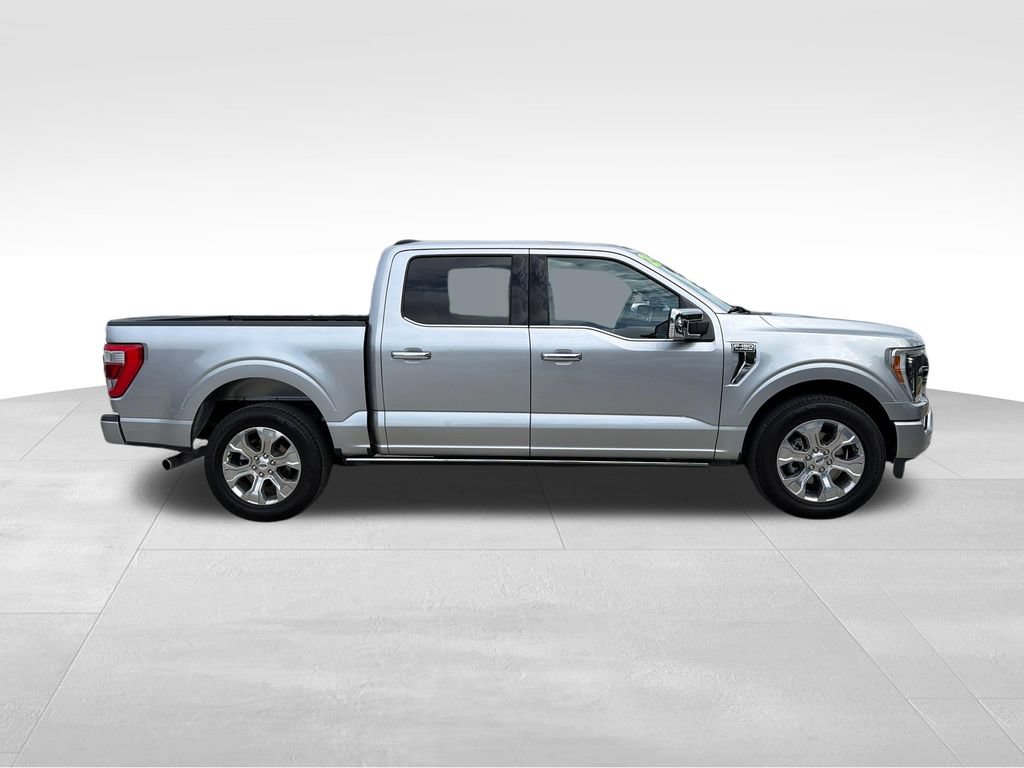 Used 2023 Ford F150 Platinum RWD image 8